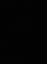 صورة الـavatar