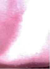Guest_Nyla937555