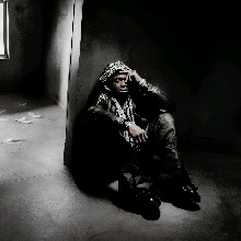Guest_Zola234