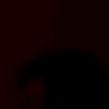Guest_nfix3