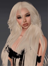 Guest_Margo877339