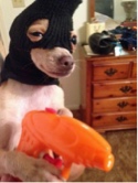 Guest_dirtycoochiez