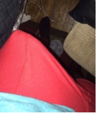 Guest_lorDoriann