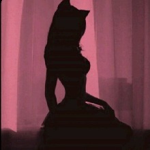 Shadow017