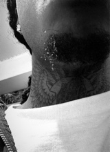 Terrion