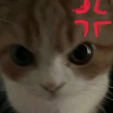 Guest_K1ttyana1