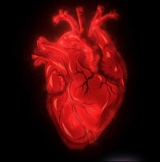 AkeenoWilds