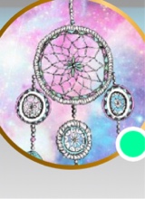 Guest_Amy189339