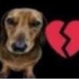 Guest_Boiolinha2