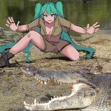 Cjisutsubyo