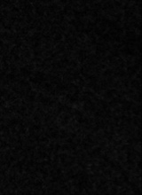 Guest_abunadarkchampag3bb3