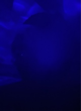 Guest_noluv4mira