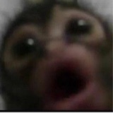 Guest_DatBitchPeppaP