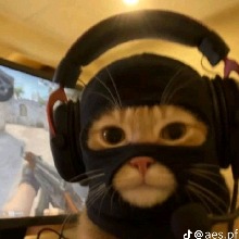 Guest_oZxZxZo