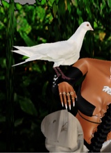 Guest_sawwetie7