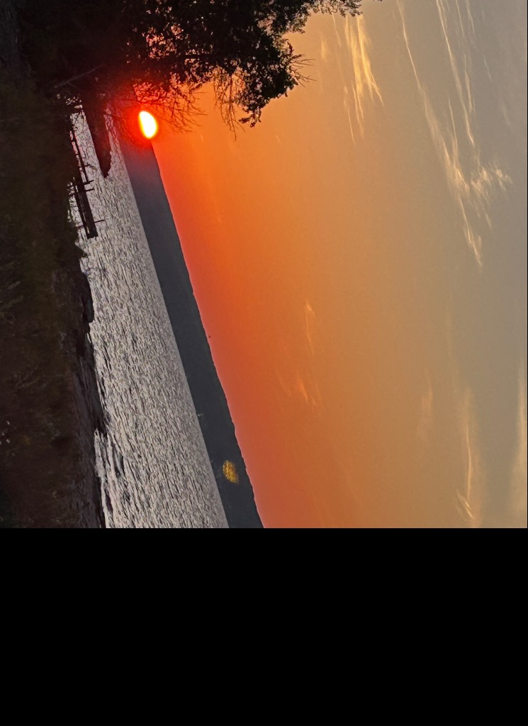 Guest_bbygirl7