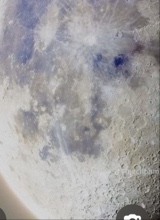 avatarbild