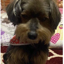 Guest_Jr280202