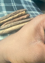 Guest_SOGJay5