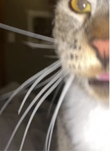 Guest_yesssyesss1