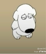 Guest_Jalycia4
