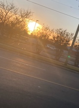 Guest_AviannaJohnson