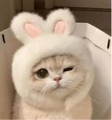 jjiayx