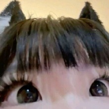 1Meow