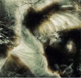 Guest_Stormduckling