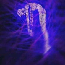 Guest_LittleBear21