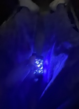 Guest_Paige672318