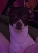 Guest_iiiiheartley