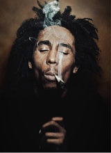 Guest_TewTurntPres