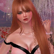 Guest_Fe235033