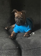 Guest_jahstreams