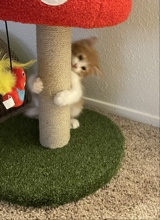 Guest_TheBraeLynn