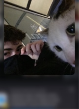 صورة الـavatar