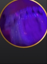 immagine avatar