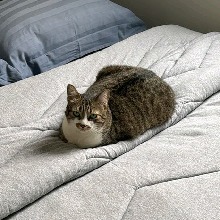 Guest_llEricazz
