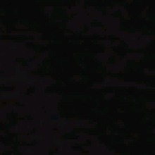 Guest_0fahlk