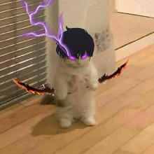 avatarbild
