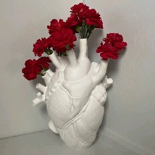 Guest_BabyLicioua