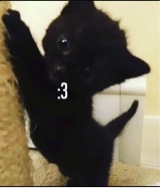 9iii6
