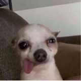 Guest_Luan787758
