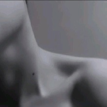 Guest_x514572