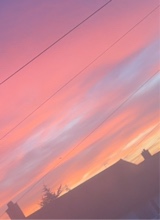 Guest_millymooxx