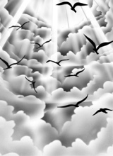 Guest_Erwann2