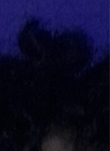 صورة الـavatar