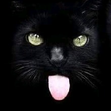 Guest_Kat294494