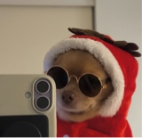 Marzi6